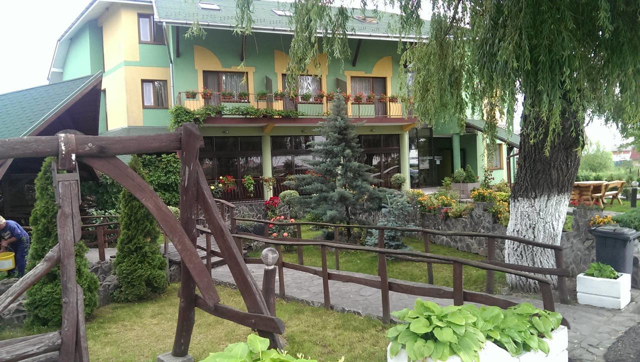 Pensiunea Brigi Satu Mare Exterior foto